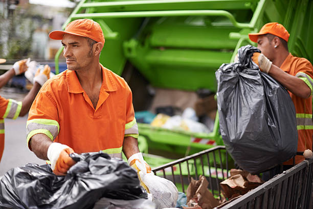 Best Demolition Debris Removal  in Allison, IA